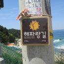 해파랑길 27코스 (9.2km) 6월 16일 이미지