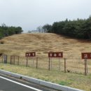 장승리 고분군 이미지