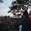 거멍돌해물탕 | [올레 챌린저 4일차] 노 네임제목없음페스 포트로 걷는 제주 올레길 5코스/서귀포 남원, 제주 겨울 가볼...