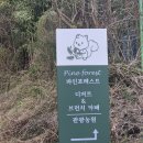 모카한식 | [언양]울산 대형 카페 파인포레스트 경치 좋은 한식 브런치 디저트 맛집ㅣ어른 모시고 가기 좋은 카페