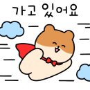 아름다운 안경원 이미지