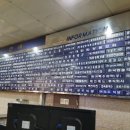 금산생대구