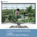 비밀의농부