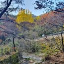 용성초등학교 | 김정훈(대성약국 약사,익산시 영등동)올림/익산시 낭산면 용성초교 8회 (용팔회)동학사 등정기