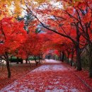 대송한의원 이미지