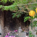 제주 산방산 암벽식물지대 | 산방굴사 :제주 서쪽 가볼만한 명승지