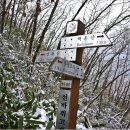 번암무룡고개로 이미지