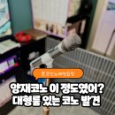 로망 노래연습장 | 양재코인노래방 본코인노래연습장, 포이사거리 놀거리 끝판왕 방문 후기