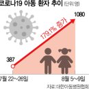 보름초교 이미지