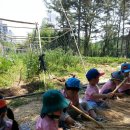 다우리어린이집 이미지