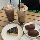 금촌애견 | 내돈내산 금촌 애견동반카페 추천 - 캠핑 컨셉 초코라떼 맛집