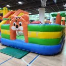 청운태권도 이미지