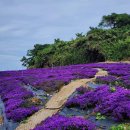 이문영 행정사사무소 이미지