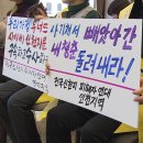 이아린 카카오 검색결과