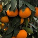 창원농장 이미지