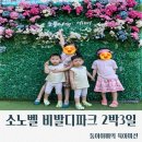 한신목장 | 벨비발디파크 2박3일 후기 총정리(스위트파크뷰클린룸/곤돌라/하늘나라양떼목장/테라로사디판테온...