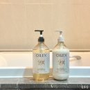 렉스헤어라인 | 단백질 본드 케라시스 오일렉스 샴푸 트리트먼트 후기