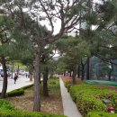 토브(TOV) 이미지