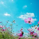 선경레이카운티부동산공인중개사사무소 이미지