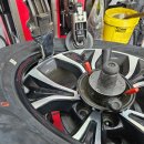 월면농장 | 카니발 굿이어 타이어 어슈어런스 피네스 재구매 좋아요