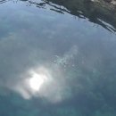 동현민박 이미지