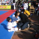 태권돌이 이미지