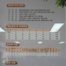 울산양정초등학교 이미지