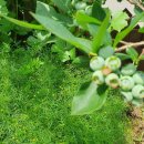 우석농장 이미지