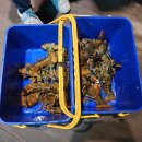 인천낚시터 이미지