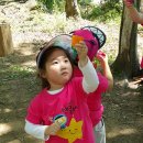 봉제산 등촌동 숲속놀이터 이미지