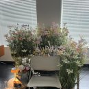 뭉뭉상점 | [안양] 범계 맛집 파스타 추천 후기 , 느좋 “투파인드피터” !