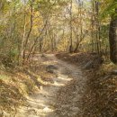 망운산 등산로 이미지