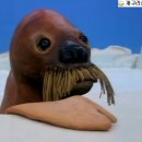 동안고등학교 앞 이미지