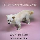 고평주유소 티스토리