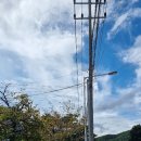 봉학경로당 Daum카페