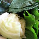 푸짐한마을 이미지