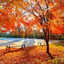 만추의 전원 이미지