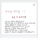 비누꽃세나클