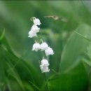 둘레목장 이미지