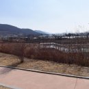 커피팀버김천혁신점 이미지