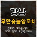 칭따오숯불양꼬치