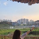 동백내과의원 네이버블로그