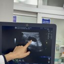 성지동물병원 이미지