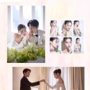 더바오컴퍼니 네이버블로그