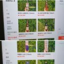 뚱이네 고기아지트 육지본점 이미지