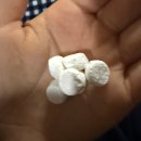 아름주유소 | MT(with 숙돌 37~42기)