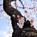 영신숲길1 이미지