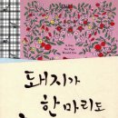 김옥수농장 네이버블로그