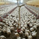 목우촌농장 이미지