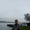 홍농서초등학교 이미지